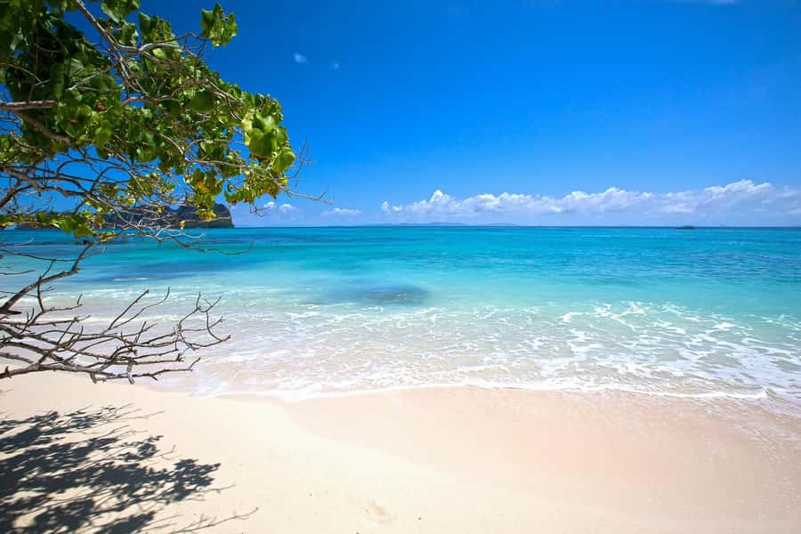 From Phuket Or Khao Lak: Phi Phi Islands Early Bird Tour - Snorkeling on Phi Phi Don: the gear does the heavy lifting