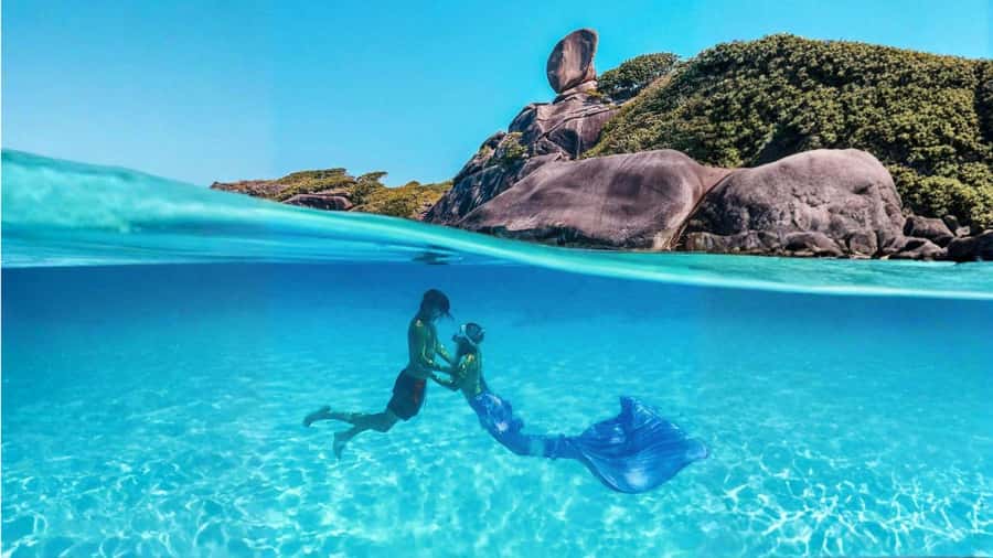 From Phuket or Khaolak : Similan Islands Day Trip - Key things to know before you go
