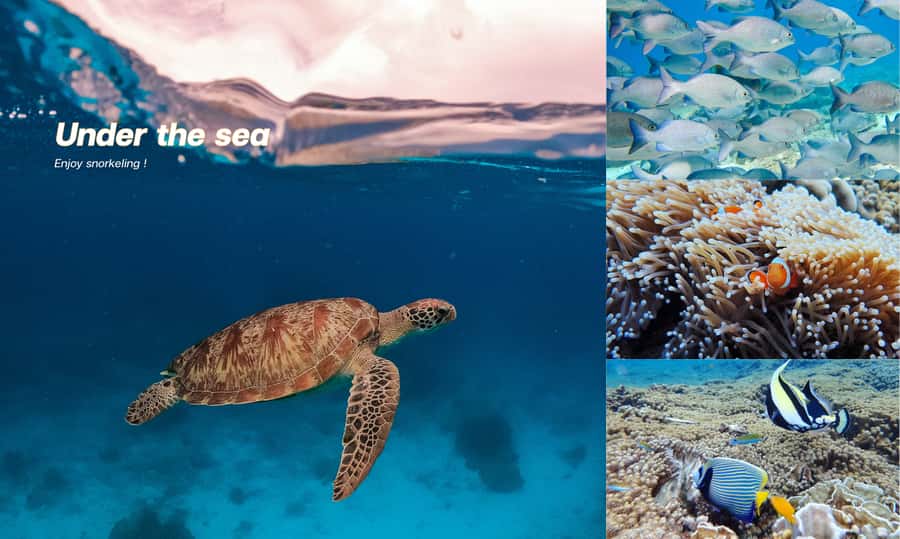 From Phuket or Khaolak : Similan Islands Day Trip - How busy are the islands, really?