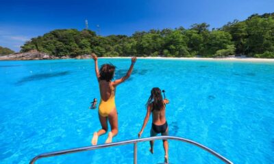 From Phuket or Khaolak : Similan Islands Day Trip - Pickup times, pier briefing, and the paperwork that matters
