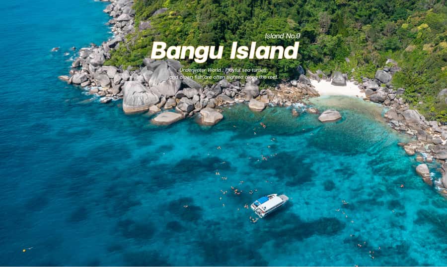 From Phuket or Khaolak : Similan Islands Day Trip - Ba Ngu Island (Island No. 9) coral bay: where snorkeling becomes the main event