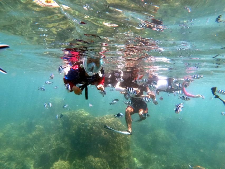 From Phuket: Phi Phi, Maya Bay, & Khai Islands Premium Trip - Viking Cave: A Short Stop That Adds Story