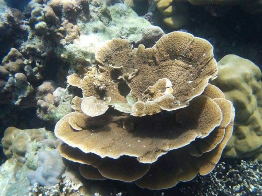 From Phuket: Phi Phi, Maya Bay, & Khai Islands Premium Trip - Ko Phi Phi Don: Lunch, Break Time, and a Bit of Island Life