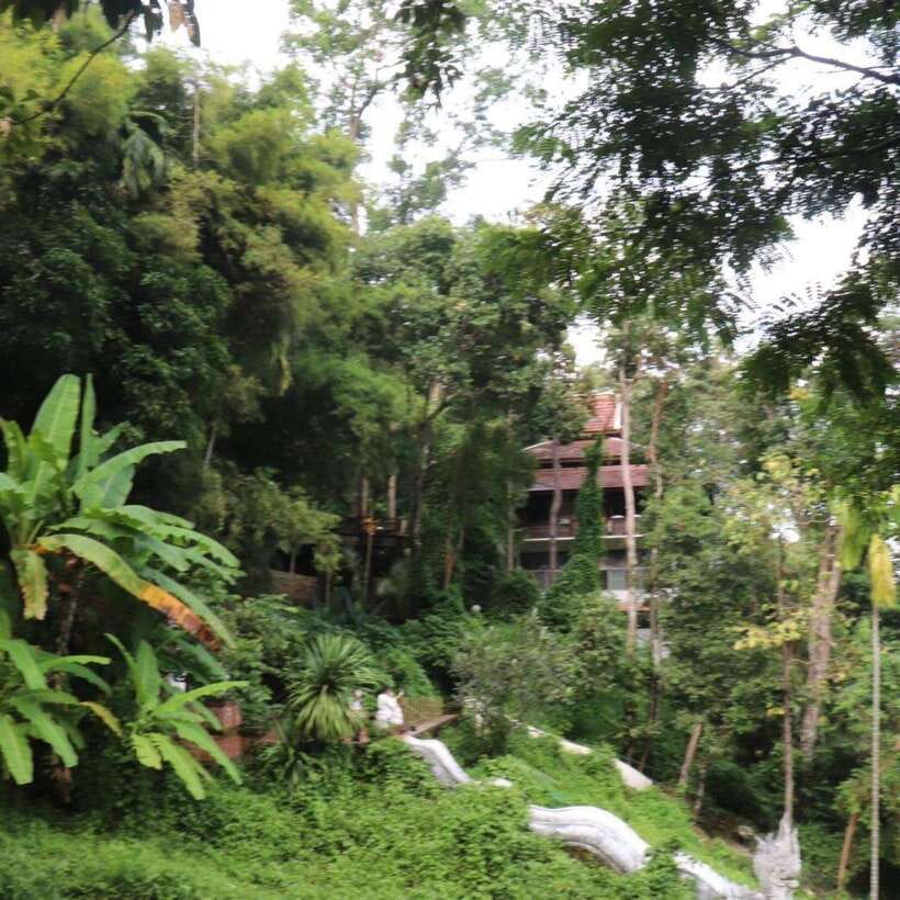Half Day Morning Wat Pha Lat & Wat Phra That Doi Suthep Tour - The guide factor: why certain names keep popping up