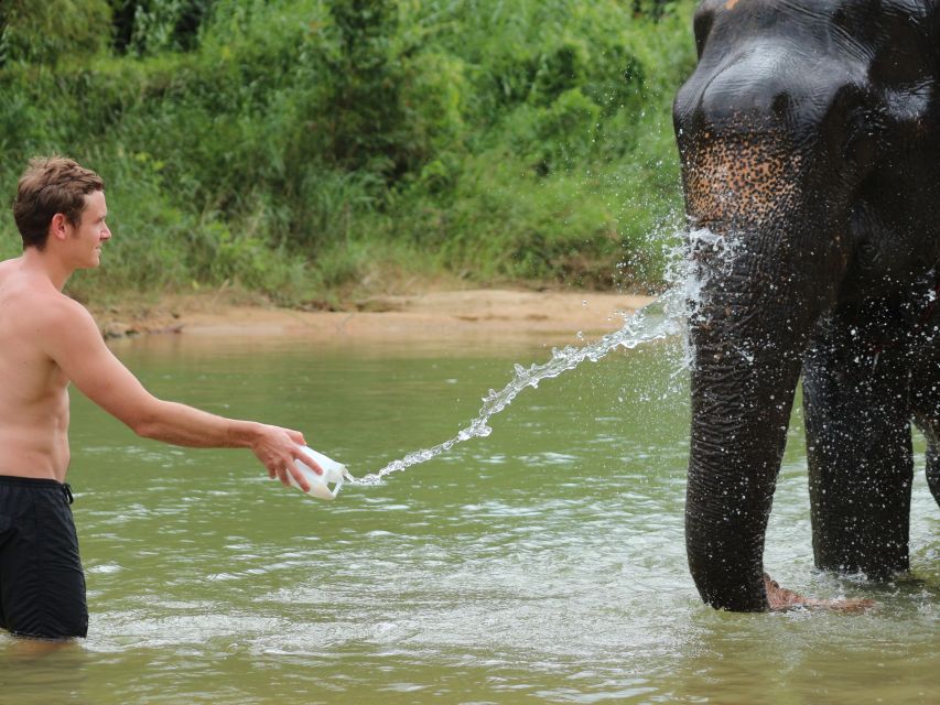 Khao Lak: Elephant Bathing and Turtle Center Visit - Is It Really Ethical? The Operator’s Position