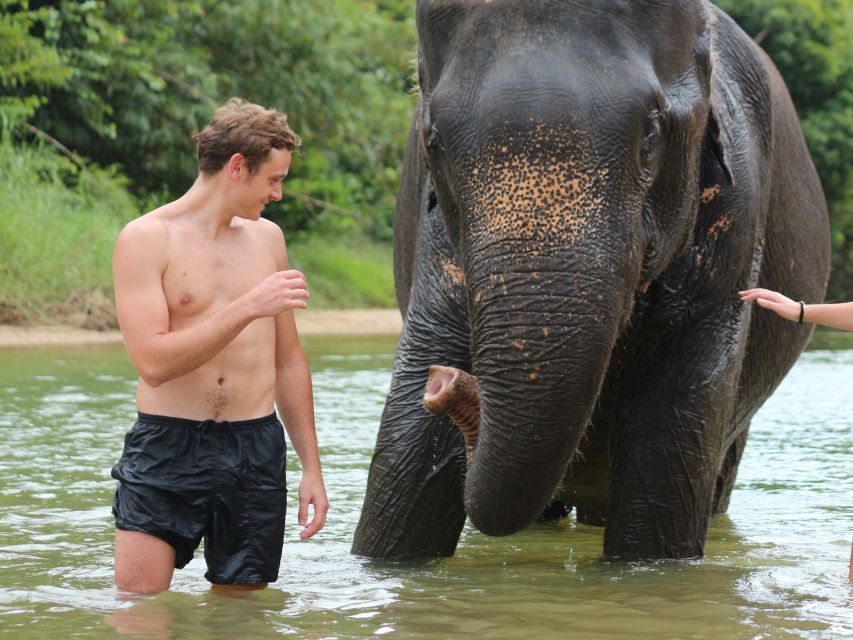 Khao Lak: Elephant Bathing and Turtle Center Visit - 210 Minutes on the Clock: Morning or Afternoon