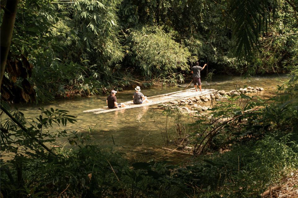 Khao Lak: Elephant Safari with Lunch - Queen Turtle conservation center: why this place matters