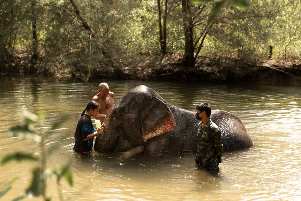 Khao Lak: Elephant Safari with Lunch - Elephant camp: feeding and bathing with bonding time (no riding)