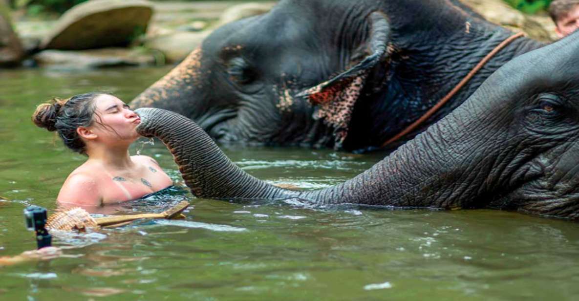 Khao Lak: Elephant Safari with Lunch - Tsunami Memorial Police Boat 813: a stop that adds meaning
