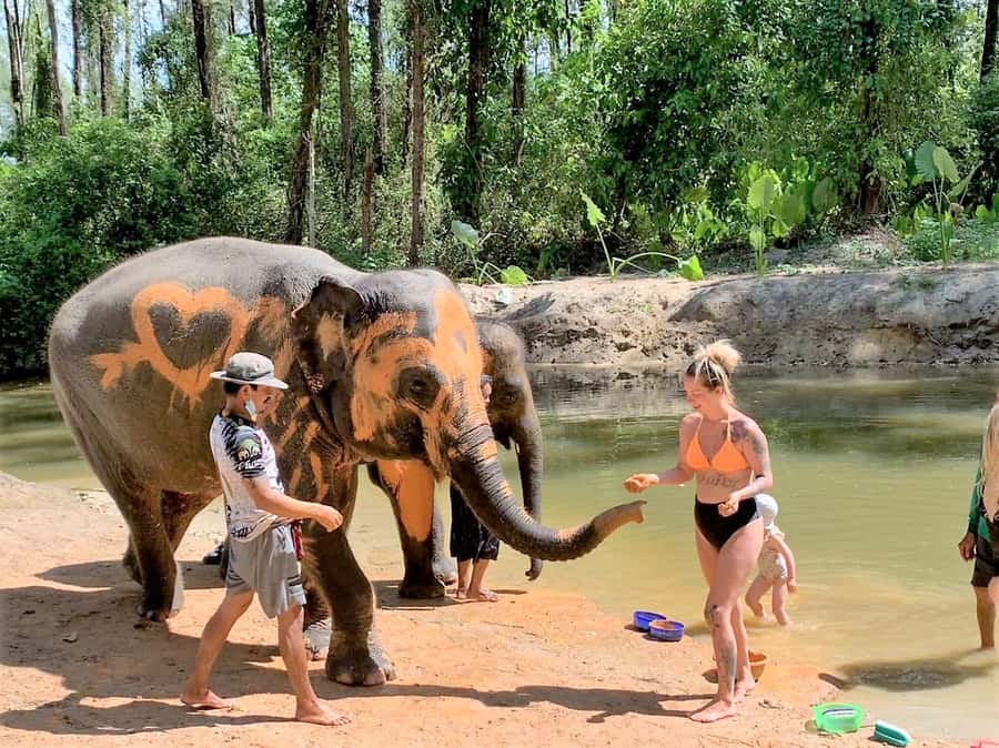 Khao Lak Ethical Adventure: Rafting, Turtles & Elephants - Key things to know before you go