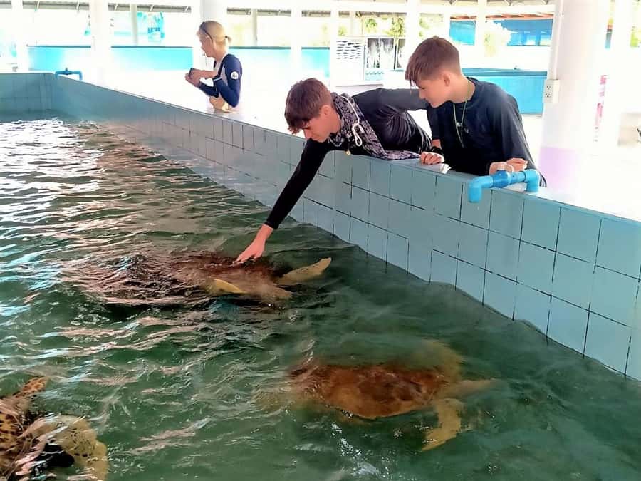 Khao Lak Ethical Adventure: Rafting, Turtles & Elephants - What to bring and how to dress for rain, temples, and rafting