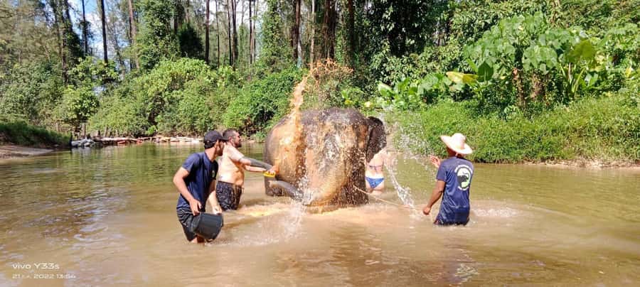 Khao Lak Ethical Adventure: Rafting, Turtles & Elephants - Khao Lak to sea turtles: why the morning matters
