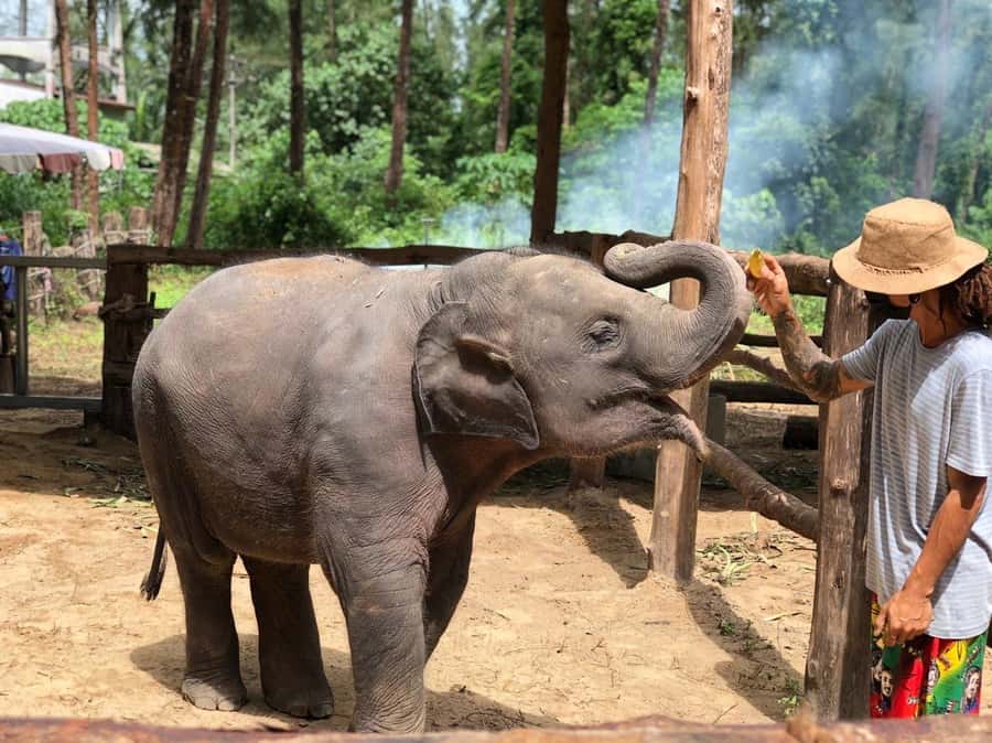 Khao Lak Ethical Adventure: Rafting, Turtles & Elephants - Wat Lak Kaen: temple time with a story, not just photos