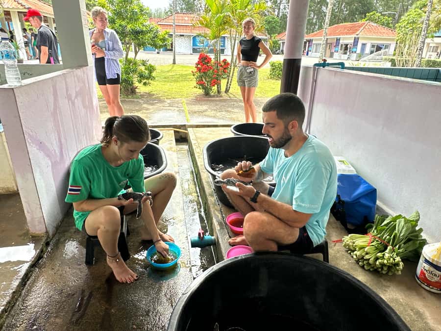 Khao Lak Ethical Adventure: Rafting, Turtles & Elephants - Southern Thai lunch: set meal style, not a snack break