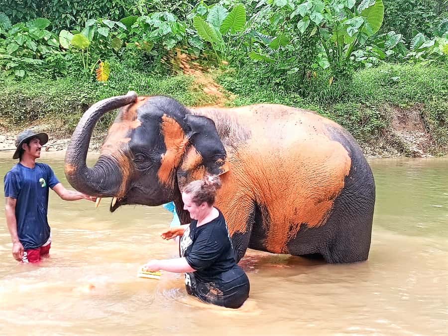 Khao Lak Ethical Adventure: Rafting, Turtles & Elephants - Price and value: why $90 can make sense here