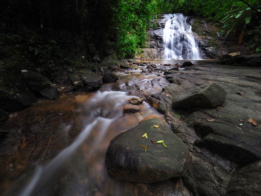 Khao Lak: Little Amazon Canoe Ride & Tam Nang Waterfall Tour - Little Amazon canoe ride in Khao Lak: mangroves, banyans, and wildlife-spotting