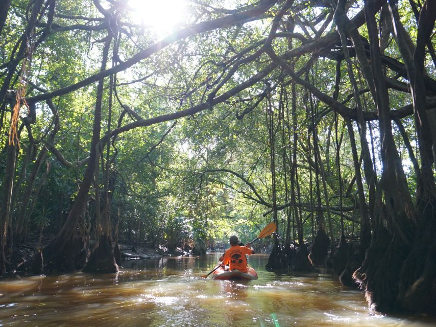 Khao Lak: Little Amazon Canoe Ride & Tam Nang Waterfall Tour - Guides and canoeists: the real difference between a good day and a great one