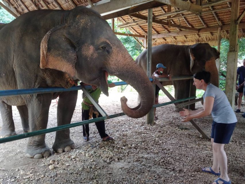 Khao Sok: Elephant Rescue Center with Lunch & Bamboo Rafting - Thai Cooking Lesson: Papaya Salad and a Real Southern Lunch