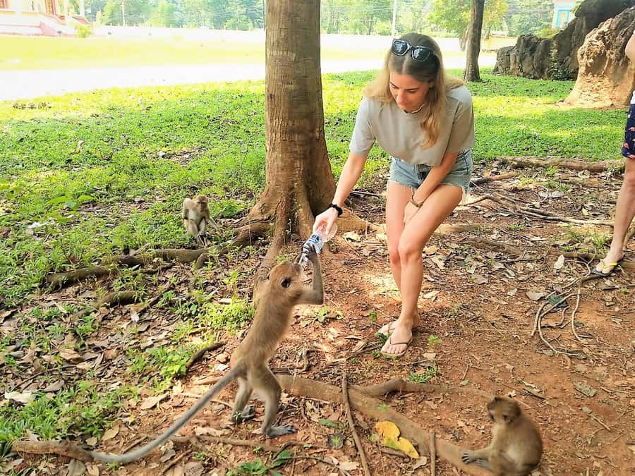 Khao Sok: Elephant Rescue Center with Lunch & Bamboo Rafting - Bamboo Coffee Stop: A Small Detail That Becomes a Memory
