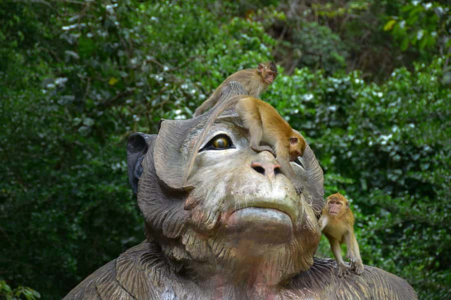 Khao Sok: Elephant Rescue Center with Lunch & Bamboo Rafting - Group Size, Timing, and Comfort Tips That Save Your Trip
