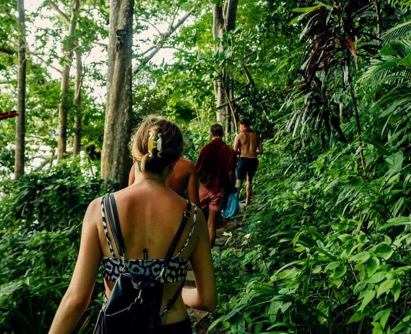Khao Sok: Private Waterfalls and Wildlife Half-Day Trek - Khao Sok’s short trek that still feels like a rainforest mission