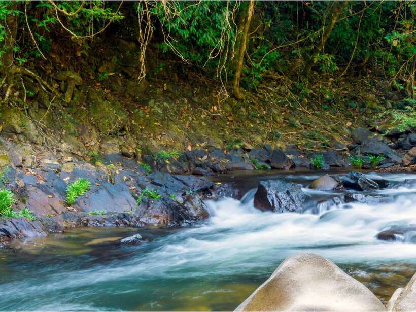 Khao Sok: Private Waterfalls and Wildlife Half-Day Trek - Bang Hua Raet waterfall: where the swim actually makes sense