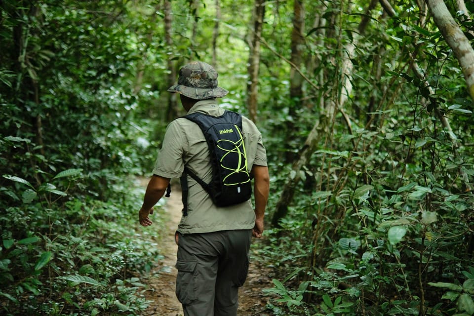 Khao Sok: Private Waterfalls and Wildlife Half-Day Trek - Private vs small-group: the real difference is flexibility