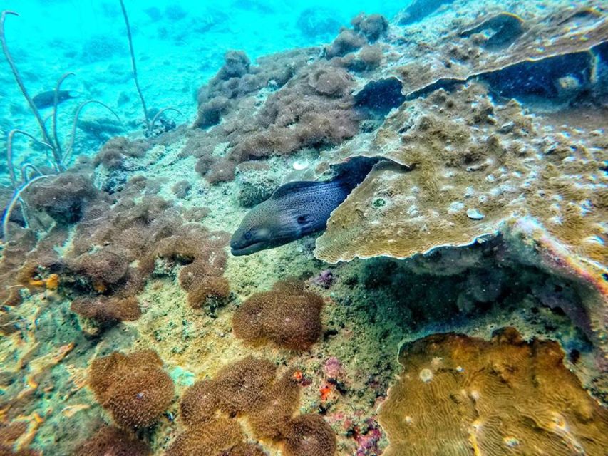 Ko Lanta: 4 Islands Snorkeling Tour by Longtail Boat - Longtail Boat Day Timing: Why the Morning Matters on Ko Lanta