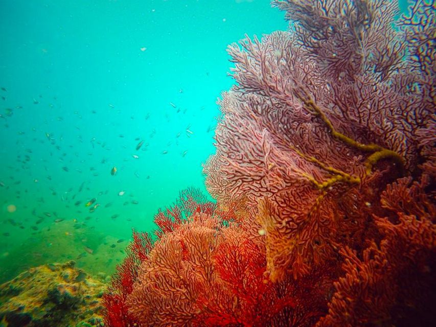 Ko Lanta: 4 Islands Snorkeling Tour by Longtail Boat - Morakot Emerald Cave at Koh Muk: The Cave Swim Game Plan