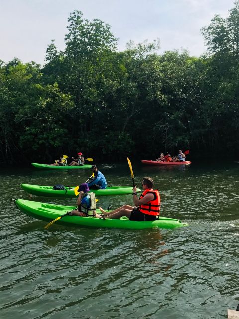 Ko Lanta: Half-Day Mangrove Kayaking Tour with Lunch - Should You Book It? My Honest Take