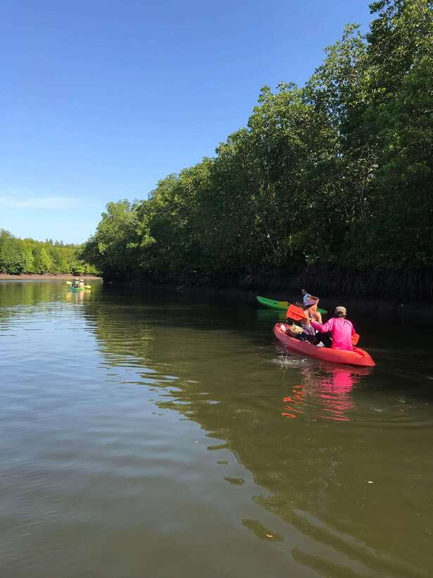Ko Lanta: Half-Day Mangrove Kayaking Tour with Lunch - Timing, Tides, and Weather: When This Trip Feels Best