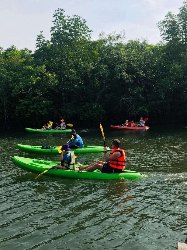 Ko Lanta: Half-Day Mangrove Kayaking Tour with Lunch - What to Bring (So You Don’t Spend the Day Miserable)