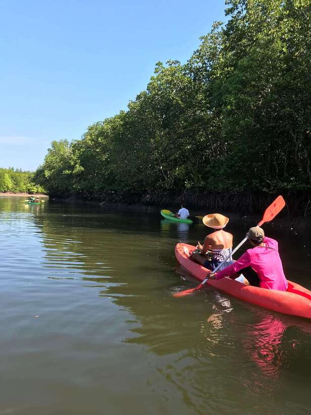 Ko Lanta: Half-Day Mangrove Kayaking Tour with Lunch - Kayaking the Mangroves: What You’ll See in Ban Thung Yee Peng