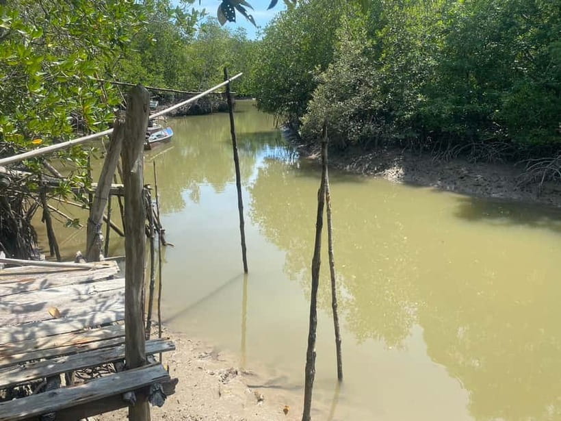 Ko Lanta: Mangrove Kayaking, Ko Talabeng, & Skull Island - Price and value: what $63 buys in a 7-hour active day