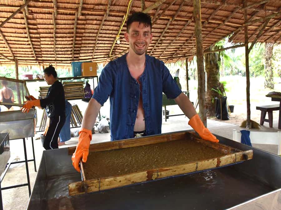 Ko Lanta Yai: Half-Day Ethical Elephant Sanctuary Tour - Meet the Elephants Before You Step Into the Mud Pool