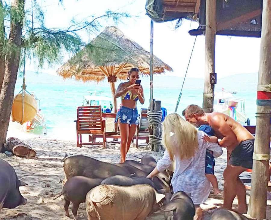 Ko Samui: Pig Island Snorkeling and Koh Tan Speedboat Tour - Pig Island (Koh Mudsum): the kayaking, the walking breaks, and the roaming pigs