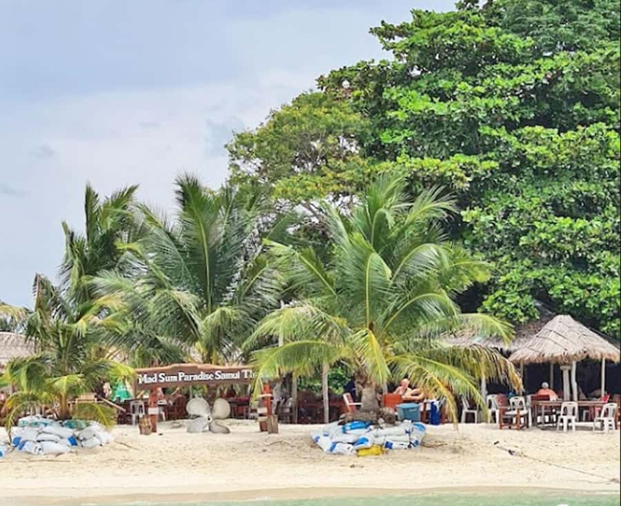 Ko Samui: Pig Island Snorkeling and Koh Tan Speedboat Tour - Return to Koh Samui: the timing and what to do when you get back