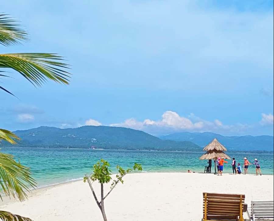 Ko Samui: Pig Island Snorkeling and Koh Tan Speedboat Tour - Who should book this tour, and who should skip it