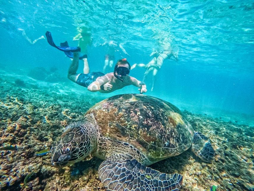Ko Tao: Tao-Nangyuan Snorkeling Day Trip with Meals & Sunset - Shark Bay: deeper water viewing and more serious wildlife