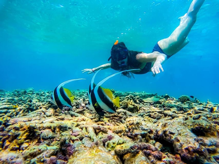 Ko Tao: Tao-Nangyuan Snorkeling Day Trip with Meals & Sunset - Mango Bay (Ao Muong Beach): a postcard shore with real water-life