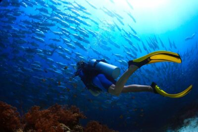 Ko Tao: Try Scuba Diving 1-Day Experience - The 12 PM Boat Ride: Relax Until the Calm Bay