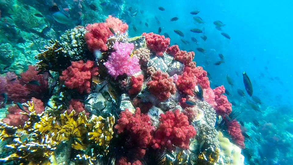 Koh Lipe: Longtail Boat Snorkeling Trip with Lunch - Boat-day comfort: timing, group size, and getting in and out