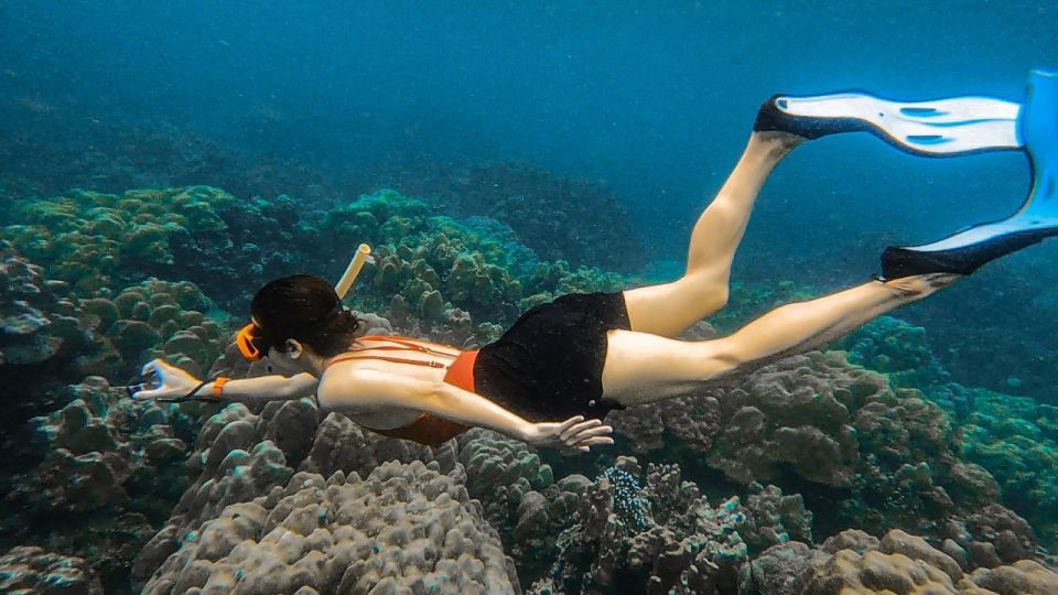 Koh Lipe: Longtail Boat Snorkeling Trip with Lunch - Koh Lipe longtail snorkeling: what $18 really gets you