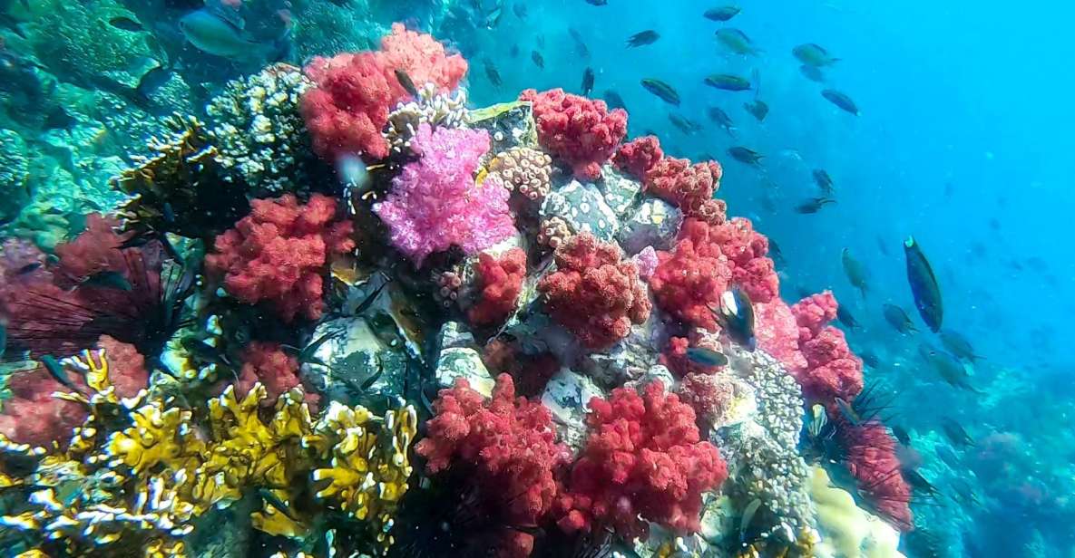 Koh Lipe: Longtail Boat Snorkeling Trip with Lunch - Stop 5: Rawi Island for lunch, bathroom break, and white-sand photos