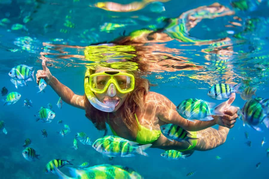 Koh Pha Ngan: Koh Tao & Nang Yuan Tour with Snorkel, Lunch - Morning Start at Thong Sala Pier: Light Breakfast and Briefing