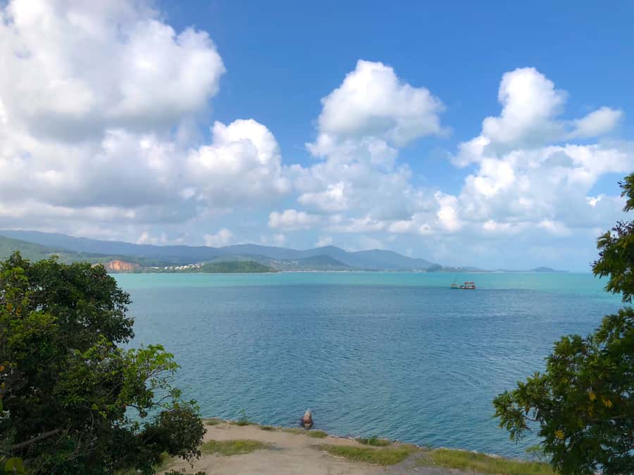 Koh Samui: 4x4 Off Road Island Safari Tour Including Lunch - Morning temples and the Chinese lady monk statue