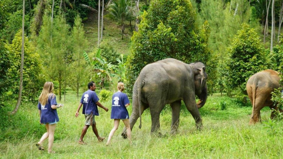 Koh Samui: 4x4 Sightseeing Safari & Elephant Sanctuary Tour - Key Things I’d Prioritize on This Tour