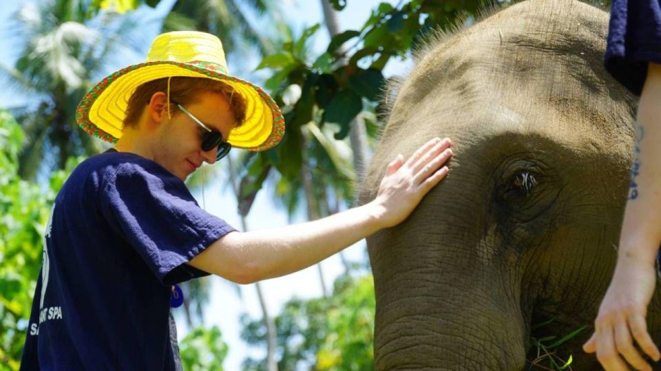 Koh Samui: 4x4 Sightseeing Safari & Elephant Sanctuary Tour - Namuang Waterfall Plus a Coconut Plantation Stop
