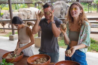 Koh Samui: Elephant Kingdom Sanctuary Half-Day Tour - Pickup, Timing, and How the 3 Hours Can Feel