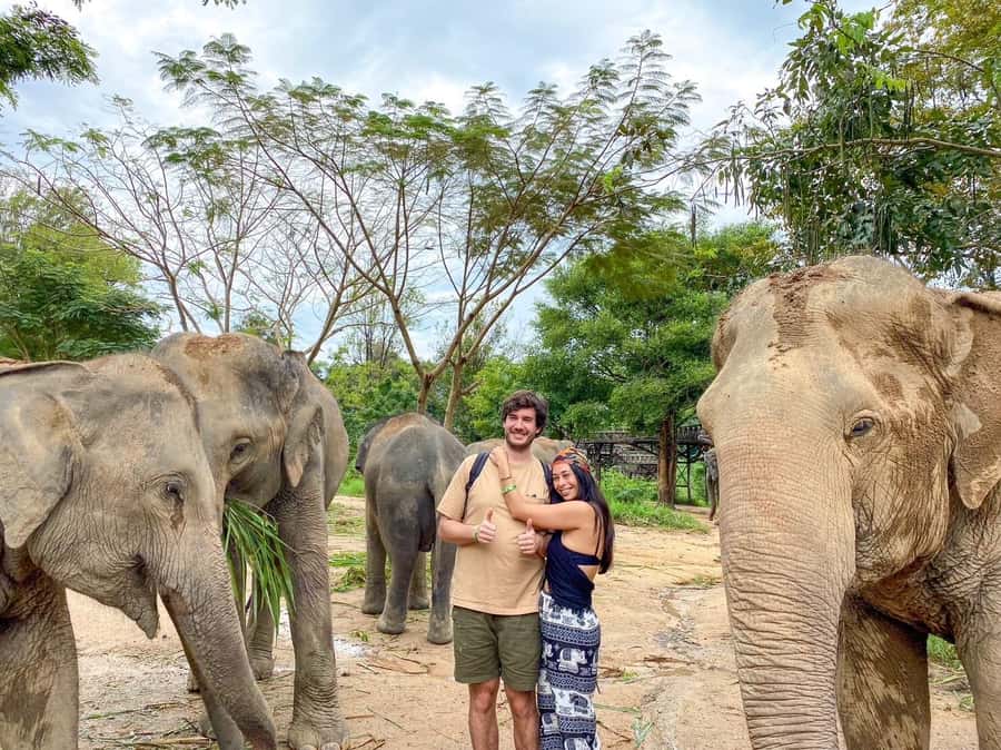 Koh Samui: Elephant Kingdom Sanctuary Half-Day Tour - Medicine Ball Prep: The Hands-On Part You’ll Actually Remember